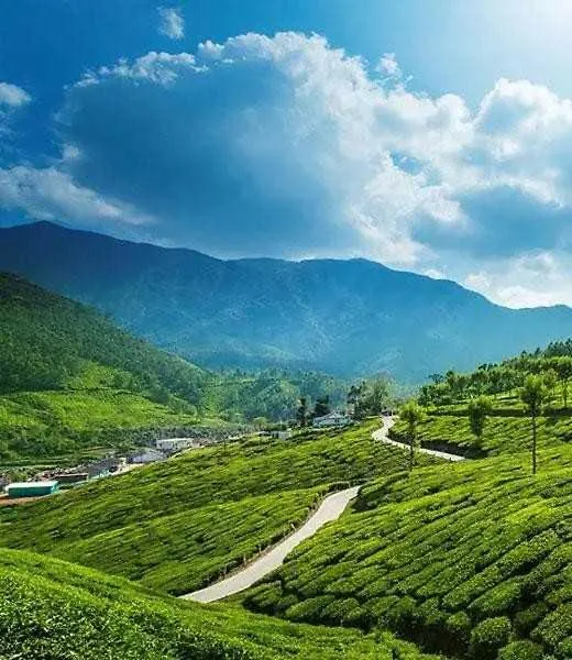 Rg'S Whistling Woods Hotel Munnar 2*,  India
