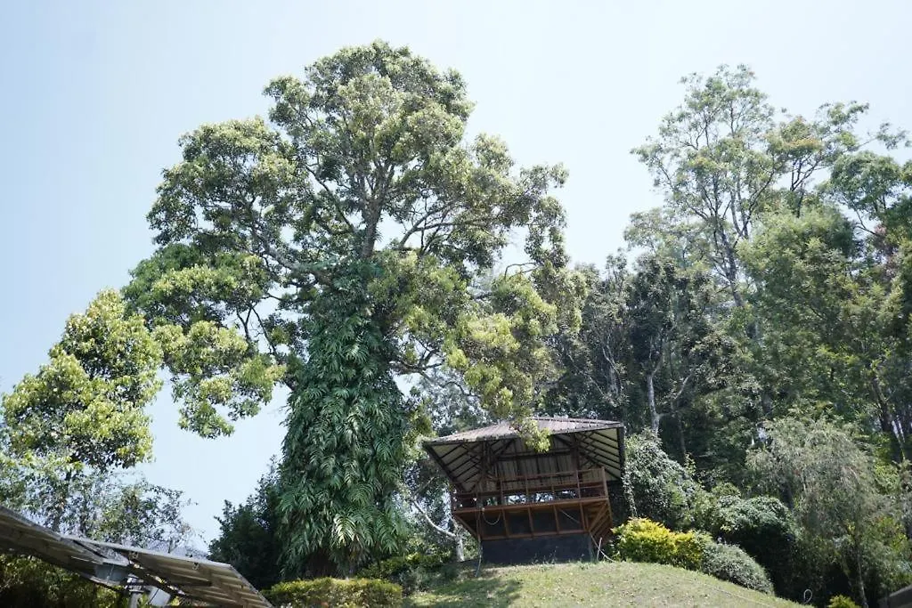 Rg'S Whistling Woods Hotel Munnar